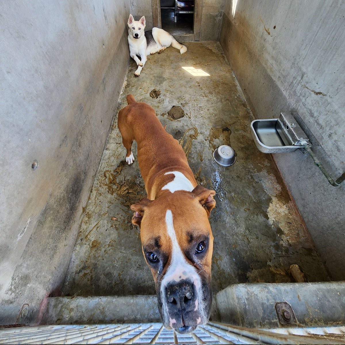 LA City Controller Kenneth Mejia tweet media