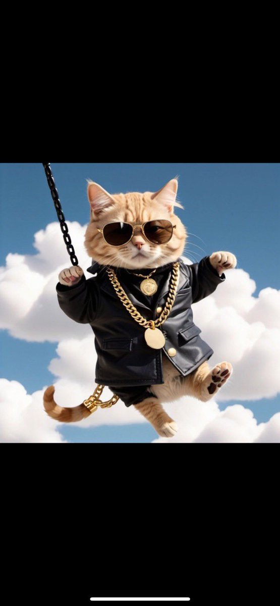 mr_nvdayzoff's tweet photo. @SolDiddyCat DID SOMEBODY SAY AIRDROP!!!!! 🤑🤑😍😍🤯🤯🔥🔥🌕🌕 #DDCATS $DDCAT https://t.co/eHTmkwyqo9