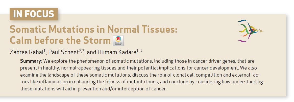 ✨Highlighting a @CD_AACR Special Issue Commentary for #AACR24: Somatic Mutations in Normal Tissues: Calm Before the Storm - by @ZahraaRahal @pascheet & @humam_kadara doi.org/10.1158/2159-8… @MDAndersonNews