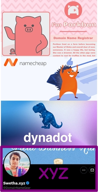 JackDomainer's tweet image. 🐷#porkbun 🦔#namecheap🦖#dynadot👻#xyz