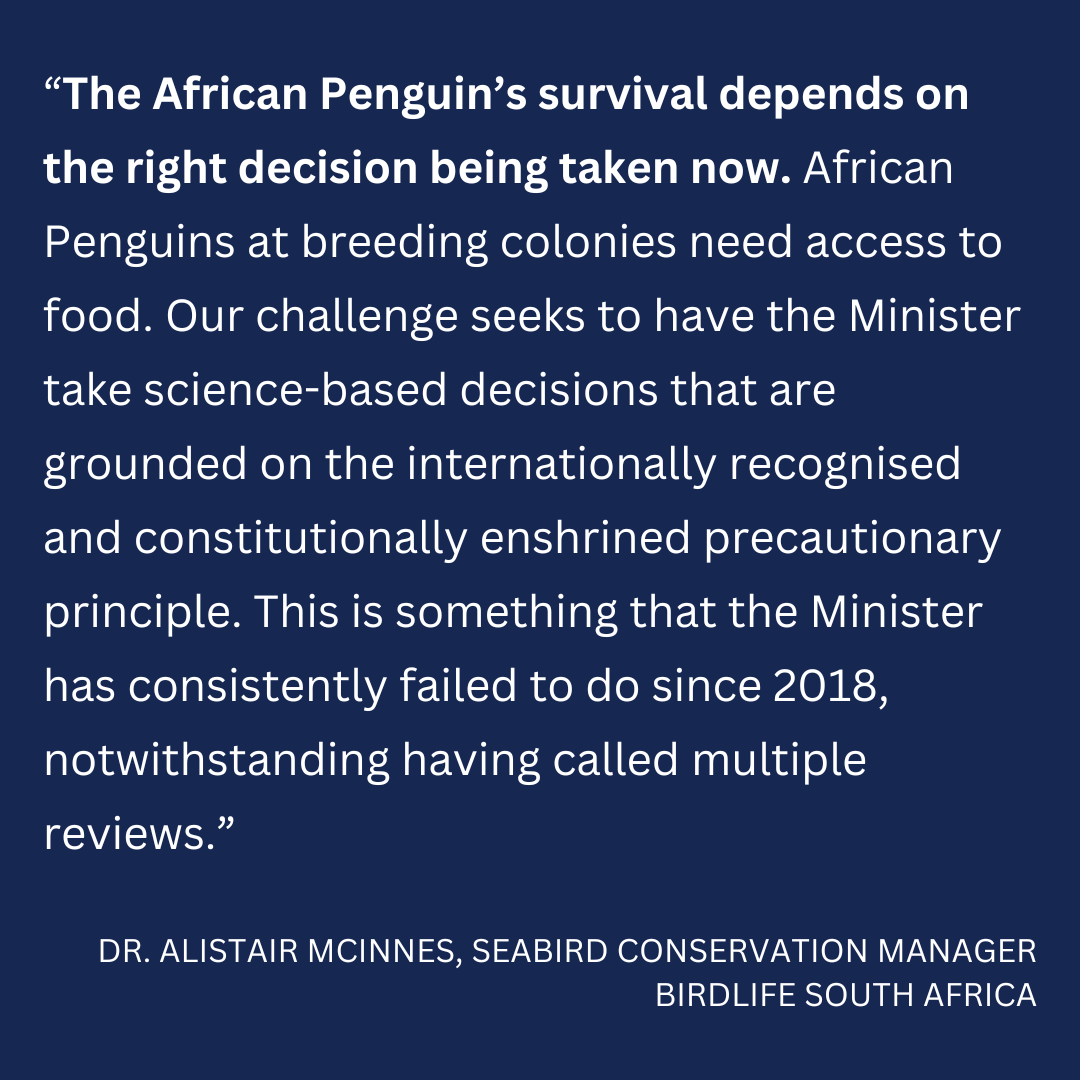 The Biodiversity Law Centre, representing @BirdLife_SA and the Southern African Foundation for the @SANCCOB, initiated landmark litigation in the High Court in Pretoria in the interests of Africa’s only penguin species. sanccob.co.za/news/ground-br…