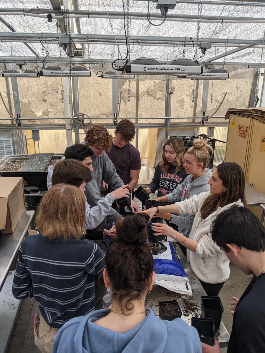 Mr. Kedzie tweet media