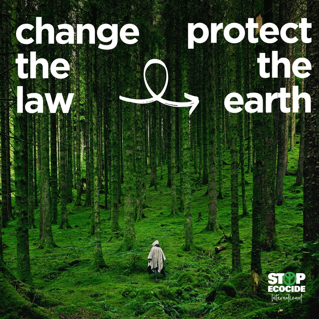 Severe, wilful destruction of nature is called #ecocide. We believe ecocide should be an international crime. Don’t you? Sign our int. petition + add your voice to the 53k others calling on governments to declare support for #ecocidelaw: stopecocide.earth/petition #StopEcocide