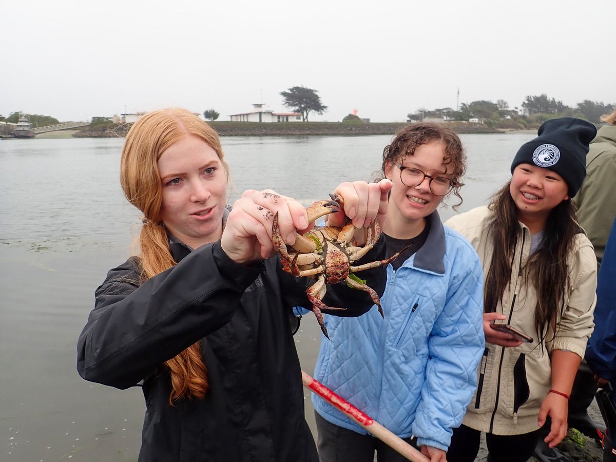 Just a few days left to apply for Summer Sessions at the @ucdavis Bodega Marine Lab! These courses, taught in Bodega Bay, are open to students from ANY college or university. Apply by 4/3: buff.ly/3ADYNoU 📸: Eric Sanford
