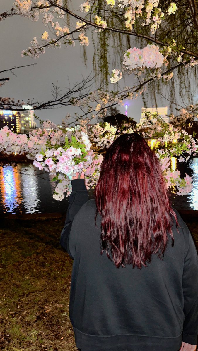 GeiJessy's tweet photo. Ich liebe diese Verdammten Kirschblüten 🌸 
Hatte schon Angst ich hab sie verpasst aber meine sie fangen gerade erst an zu blühen 🌸💗💗🌸 THERAPIE!!!! https://t.co/v8kTp7FqCV