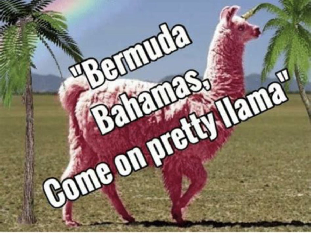 LizCrypto01's tweet photo. @cryptojack "Be the early bird that catches the worm! 🐦 Now is the prime moment to invest in $BAHAMAS. Don't wait for the crowd; secure your spot early and enjoy the potential rewards. 💎💪 #EarlyInvestor #BAHAMAS https://t.co/QrzkqLGZ39