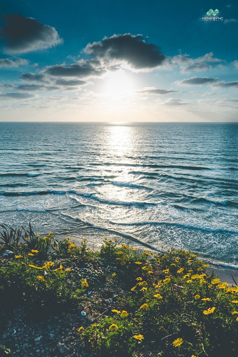 NovaSyncDigital's tweet image. Proper insulation is key to maximizing energy efficiency and reducing heating and cooling costs. Contact us to learn more about the importance of insulation in your HVAC system. 📺 #InsulationMatters 💡