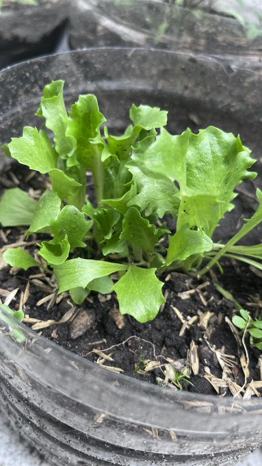 Buenas ❤️ https://t.co/YeTwsfNnhB<a href="/tag/desnuda"class="tags"><span>#desnuda</span></a>