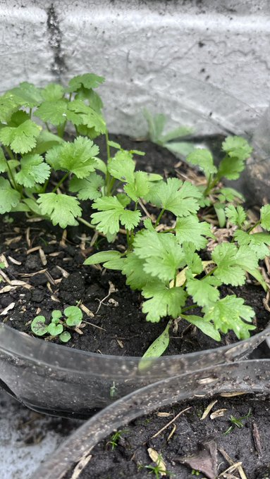 Buenas ❤️ https://t.co/YeTwsfNnhB<a href="/tag/desnuda"class="tags"><span>#desnuda</span></a>