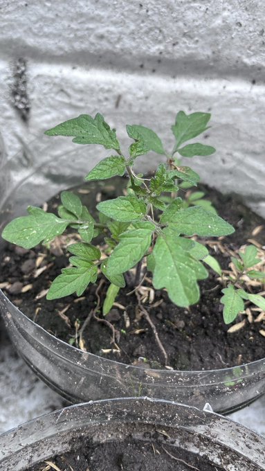 Buenas ❤️ https://t.co/YeTwsfNnhB<a href="/tag/desnuda"class="tags"><span>#desnuda</span></a>