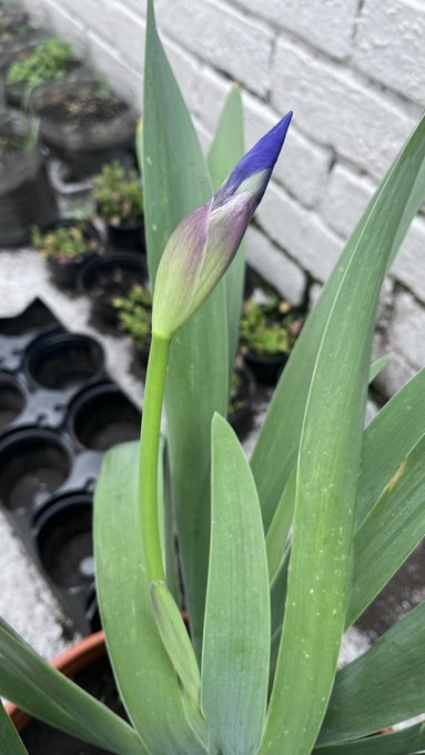 Buenas ❤️ https://t.co/YeTwsfNnhB<a href="/tag/desnuda"class="tags"><span>#desnuda</span></a>