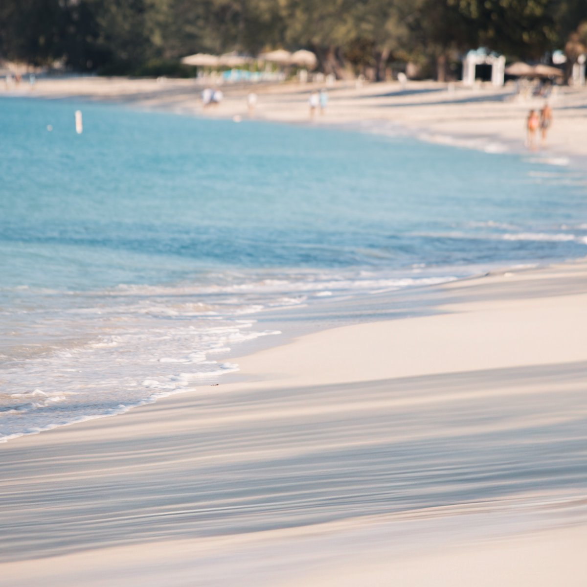 WestinGCayman's tweet photo. Take a soothing walk along serene Seven Mile Beach and #RelaxWell in paradise 🌴
#WestinGrandCayman #CaymanIslands #WestinResorts #VacationWell https://t.co/lrgwVSNzsf
