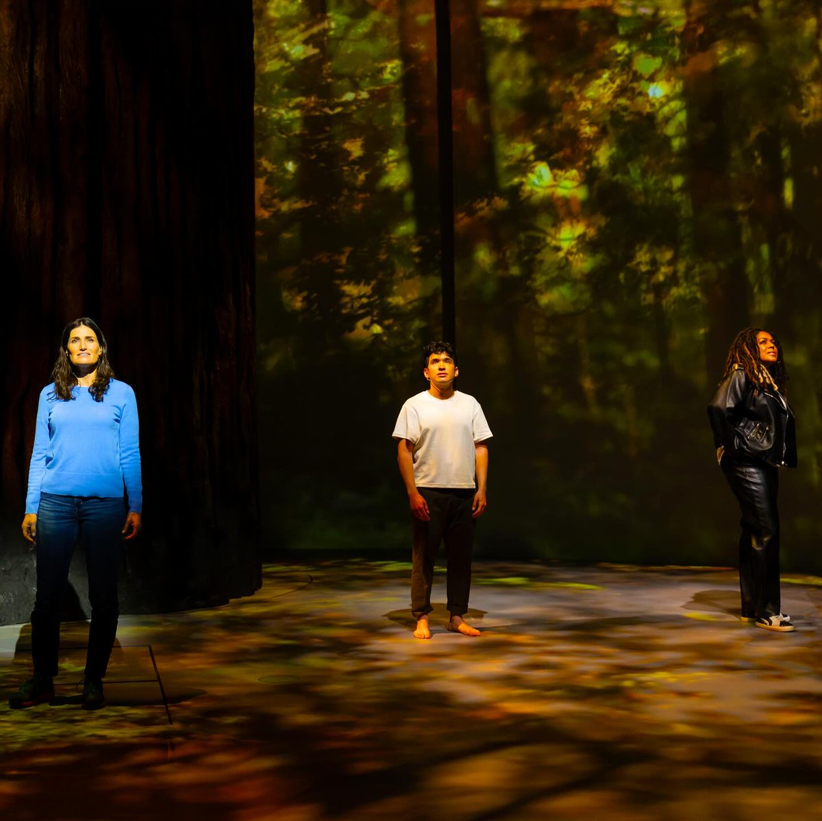 Happy Trails, Redwood! The show ended its run a La Jolla Playhouse yesterday. Now we cross our fingers/pray/manifest/insert your personal belief here that it makes its way to Broadway! 💚🌳