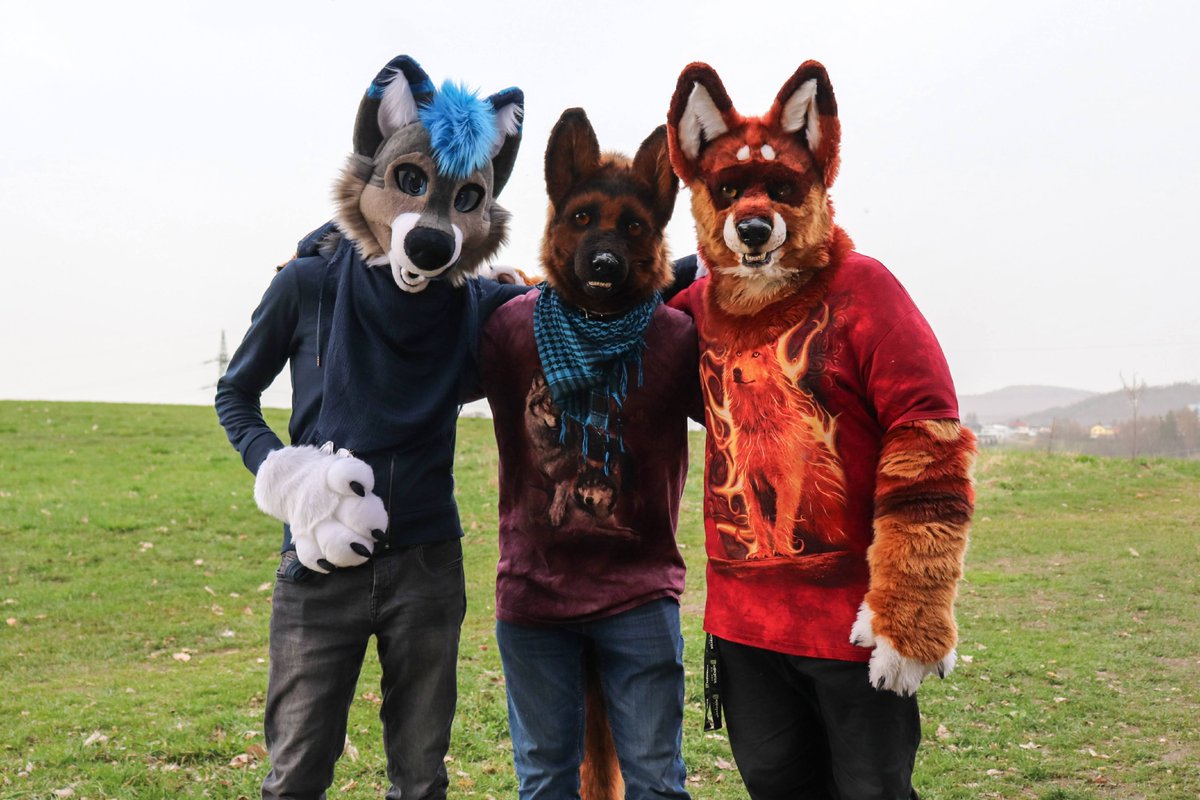 Cody Shepherd 🐾💗 tweet media