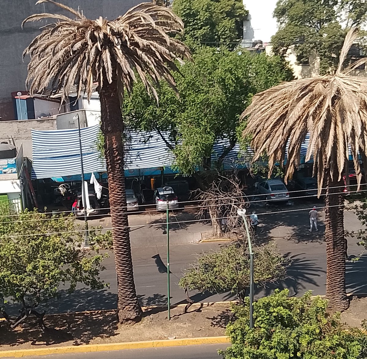 José Ramón Huerta tweet media