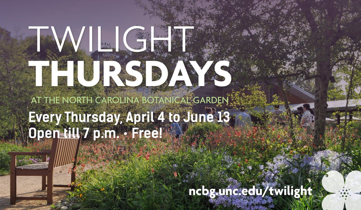 The spring season of #TwilightThursdays starts this week: every Thursday from April 4 to June 13, we'll be open until 7 p.m. so you can enjoy the Garden in the evening. Bring a picnic, take a stroll, or stretch out in a yoga class! Plan your visit: ncbg.unc.edu/2024/03/25/twi…