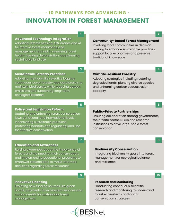 💡 Innovative practices in forest management and conservation involve a multidisciplinary approach, combining:

📡 Technology
🛖 Community engagement
📄 Policy reform
🔬 Scientific research

🌳🌴 <a href="/BESNet_UNDP/">BES-Net (Biodiversity and Ecosystems Network)</a> highlights 🔟 key pathways to achieve this. 
Learn more. 👇