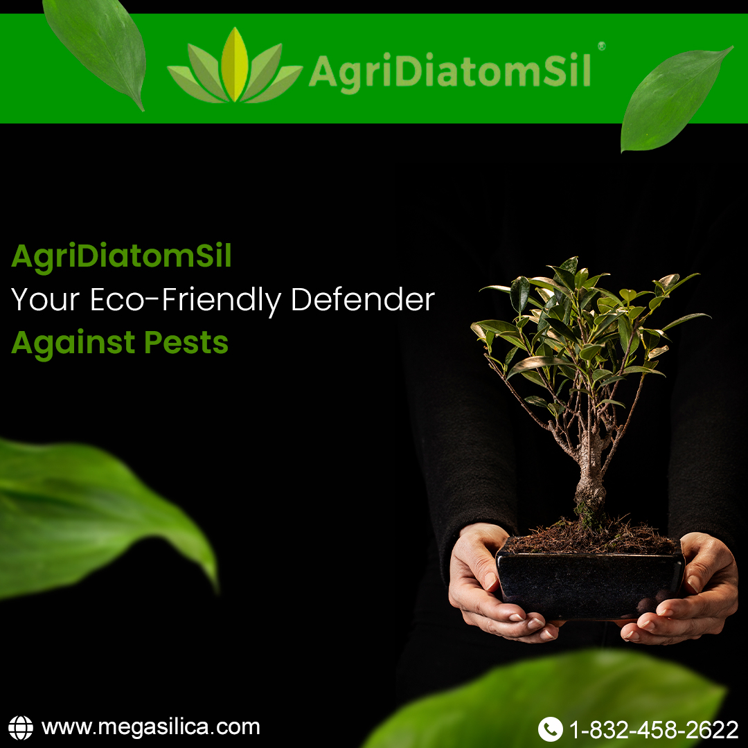 AgriDiatomSil, Your Eco-Friendly Defender Against Pests

👉- agronutritionals@gmail.com
🌐- megasilica.com
📞- 1-832-458-2622

#soilconditioner #organicsoilconditioner #agriculture #gardening #diatoms #ecofriendly #organicsmatter #biofriendly #organicgardening #plantlife