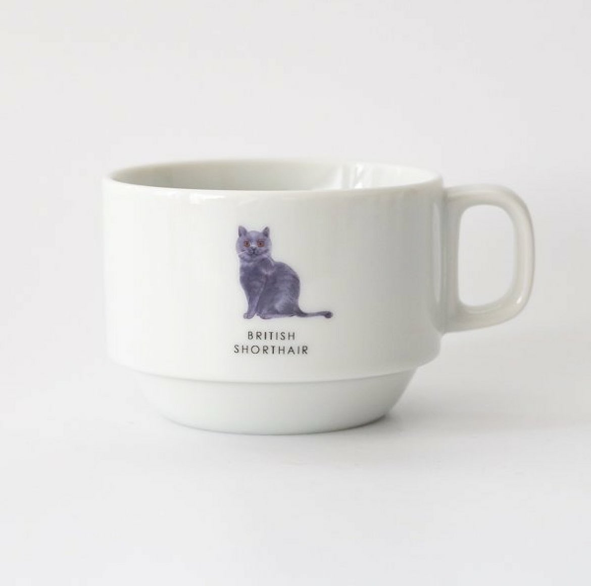 tororoom_'s tweet photo. 猫ちゃんマグカップ可愛すぎる😭
お値段も1,000円ちょいとお手頃価格
猫飼いさんへのプレゼントにも！

種類一覧🐈🐈‍⬛
サイベリアン 
ブリティッシュショートヘア
オシキャット
ノルウェージャンフォレストキャット
アメリカンショートヘア 
#猫 https://t.co/s1UH86id6H