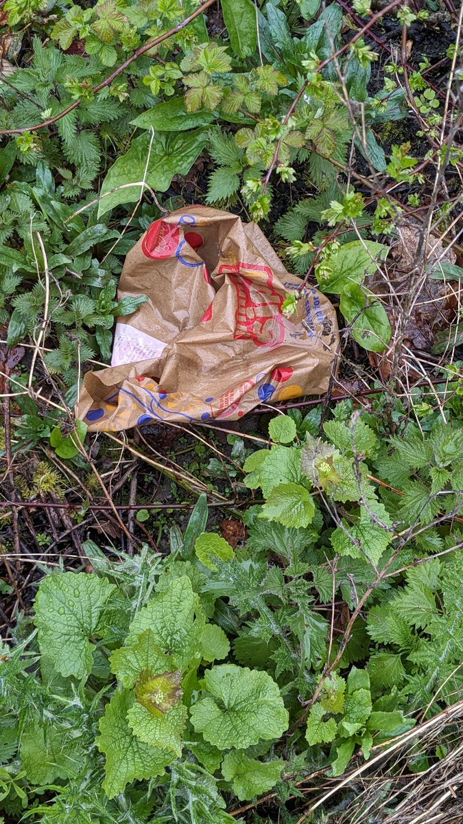 Lots of Mclitter TOSSERS off for Easter. Chuck it in every ditch and Greenspace 🤬. Are you giving our wildlife a murderous Easter Gift 🎁. It will kill so many. BIN IT 🚮