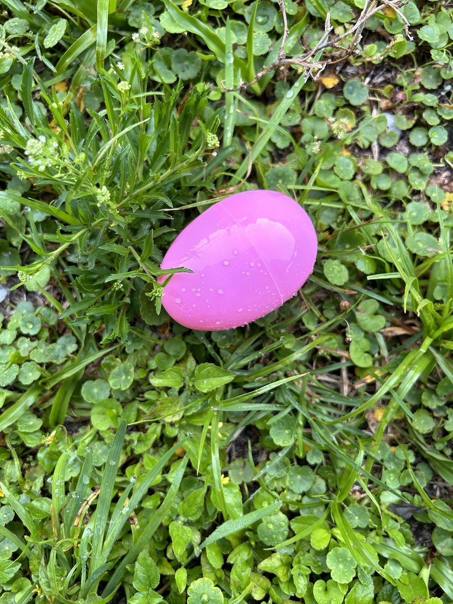 Happy 4th quarter Eagles! Let’s SOAR through the end of the year. We’re starting today off with an Egg Hunt. Collect eggs and bring them to lunch to trade for a prize! Good luck!