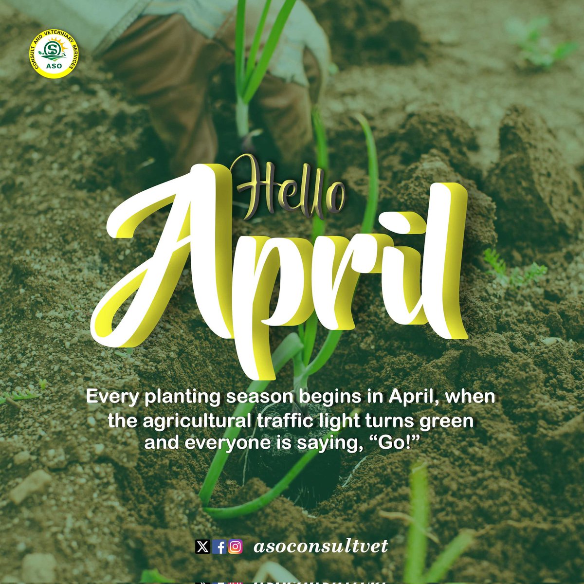 'Farming looks mighty easy when your plow is a pencil, and you're a thousand miles from the corn field' By Dwight D. Eisenhower...
#asoconsultvet #agriculture #newmonth #april2024 #agricultureandfarming #agricbizinnigeria #livestockmanagement #livestockfarming