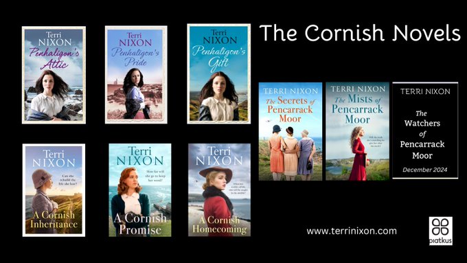 This has made my day! #TVAgents - there are 9 books in the extended series... That's a lot of gripping, cosy and exciting Sunday night #telly... Just sayin'! 😉😆 #cornwall #fiction