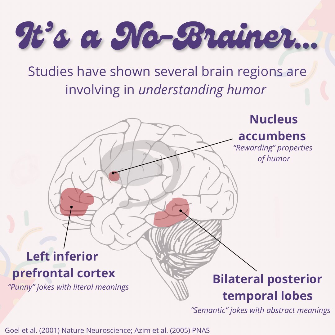 bac_wfu's tweet photo. So two neuroscientists walk into a bar…..While today is full of laughs &amp; pranks, let’s not forgot why you think the jokester of your friend group is actually the funniest. How does our brain know what’s funny &amp; what makes some people more hilarious than others? #AprilFoolsDay 🤣 https://t.co/Mn1k9gO8JJ
