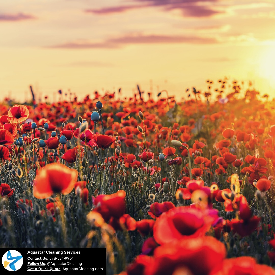 aquastarmaids's tweet photo. 🌷 Spring into Cleanliness with Aquastar Cleaning Services! 🌷
As flowers start to bloom this Spring 2024, it's the perfect time to refresh your home with our tailored cleaning options. Say goodbye to the winter blues and hello to a sparkling home!
#SpringCleaning #WeeklyClean https://t.co/5WPqcAc9Vx