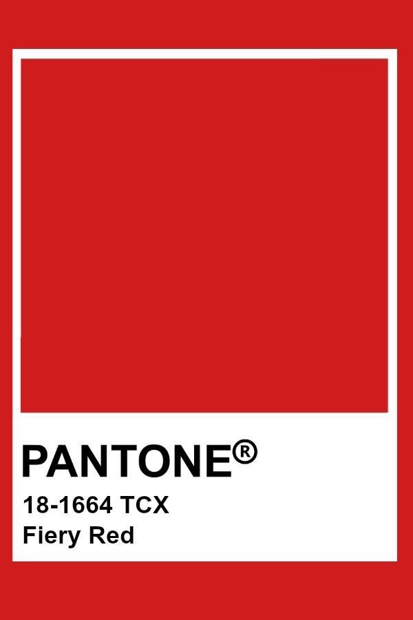 piink_fly's tweet photo. how does pinterest see you? search 
- fashion
- pantone
- mood
- food https://t.co/ZafWOEwaSe
