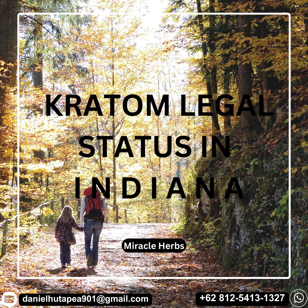 If you are looking to buy kratom in Indiana, you might be disappointed. Unfortunately, Indiana is one of the only six states in the US where kratom is illegal.
#MiracleHERBS #Ohio #Oklahoma #Oregon #Pennsylvania #RhodeIsland #Tennessee #Texas #Utah #Vermont #Virginia #Washington
