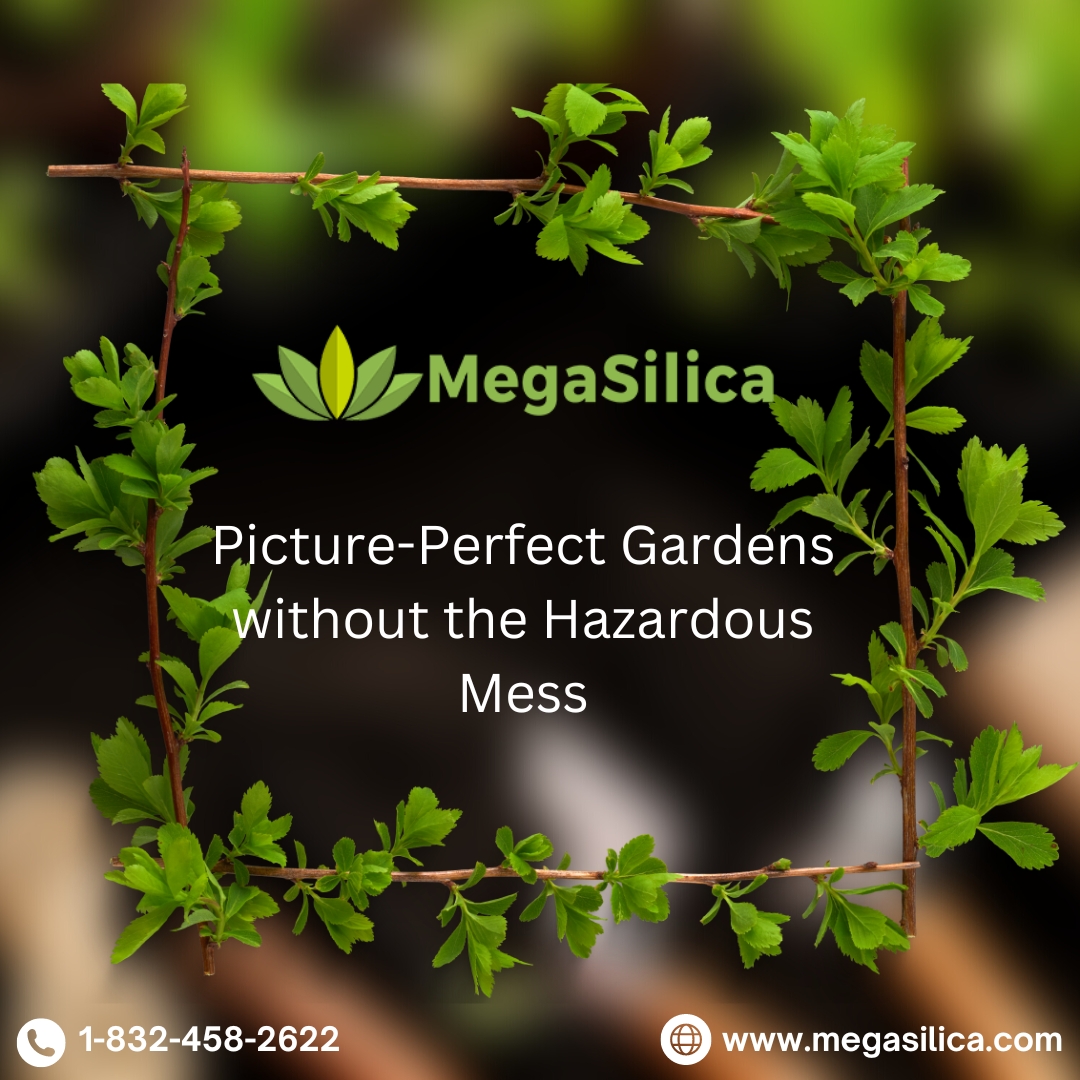 Picture-Perfect Gardens without the Hazardous Mess!

👉- agronutritionals@gmail.com
🌐- megasilica.com
📞- 1-832-458-2622

#soilconditioner #organicsoilconditioner #agriculture #farmers #gardening #plants #diatoms #ecofriendly #organicsmatter #biofriendly #healthyplants