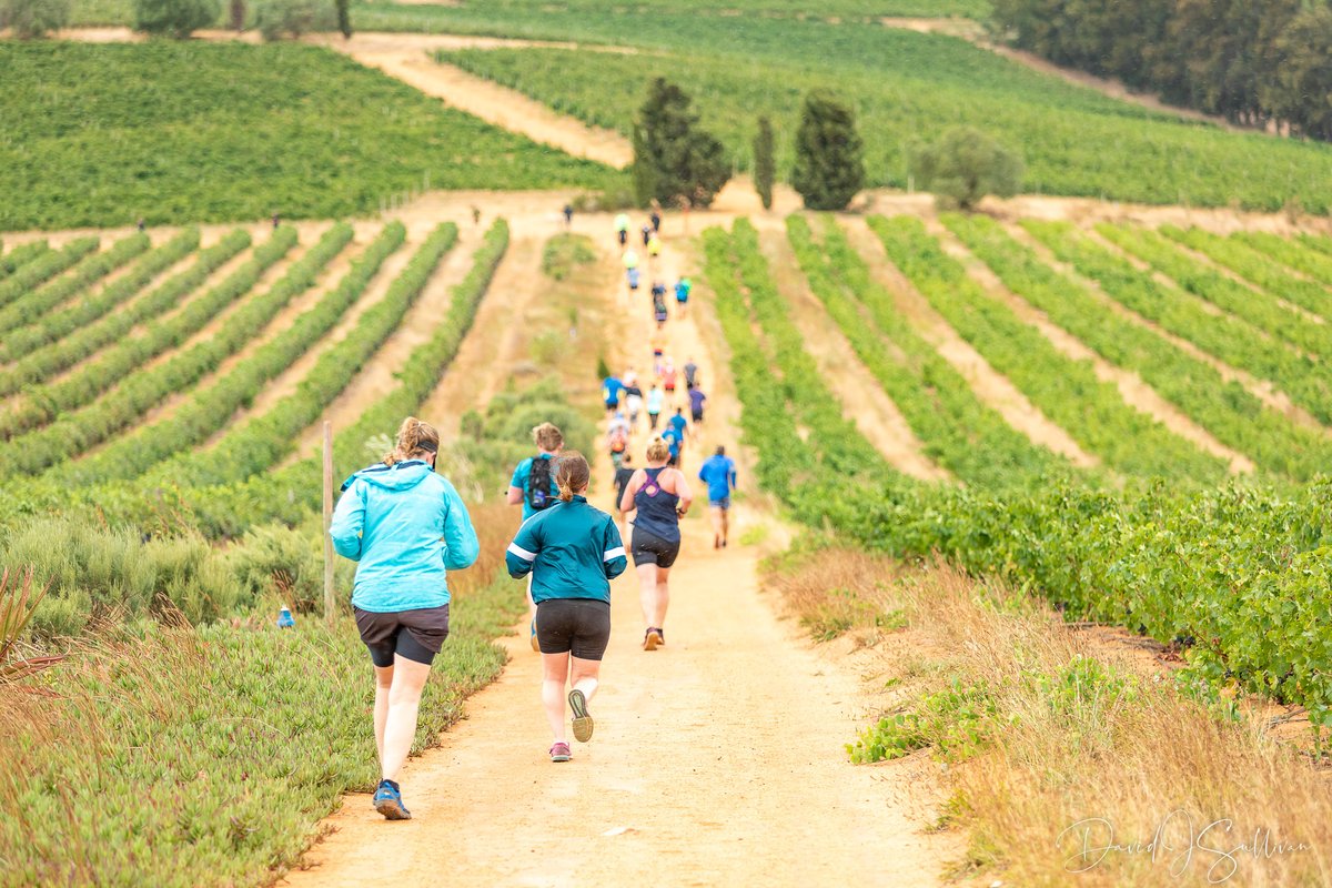 Run The Vine #4 Join us for a fun day running in the vineyards with the family. Medals to all finishers km: 17 | 10 | 5 | 3 where: Landskroon, #Paarl when: 13 Apr from 07h15 tinyurl.com/ycym8bsj #trail #run #wine #active #nature #views