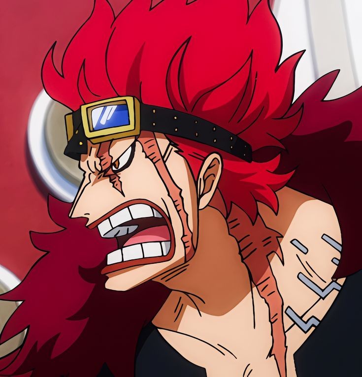 dailyOFkidd's tweet image. 