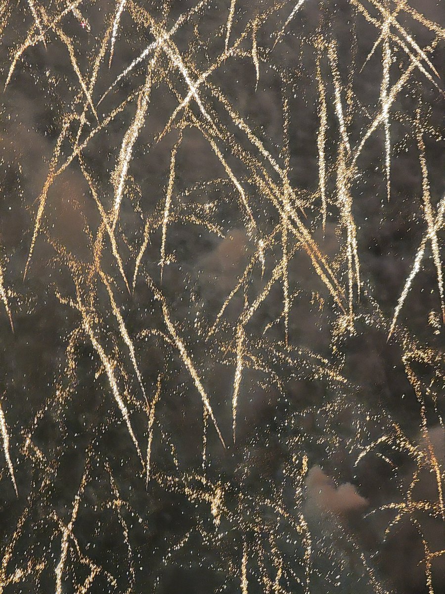 我们生来病态，却被要求活的健康。