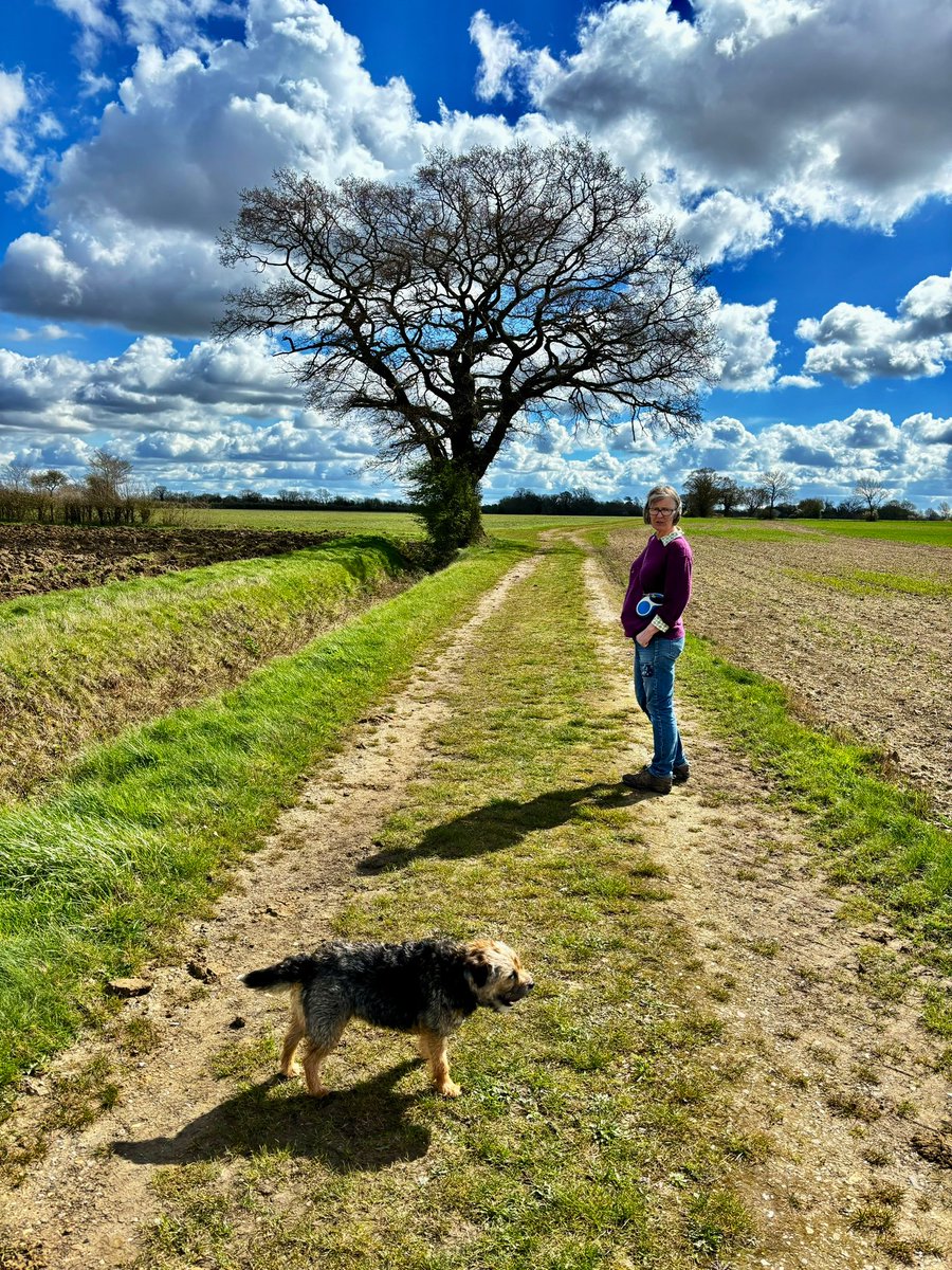 RealGeoffBarton's tweet photo. The view from here (sorry to be so predictable): our walk today under Suffolk’s magnificent big skies #AlwaysTheSame #AlwaysDifferent https://t.co/M3iwX2CQ4d
