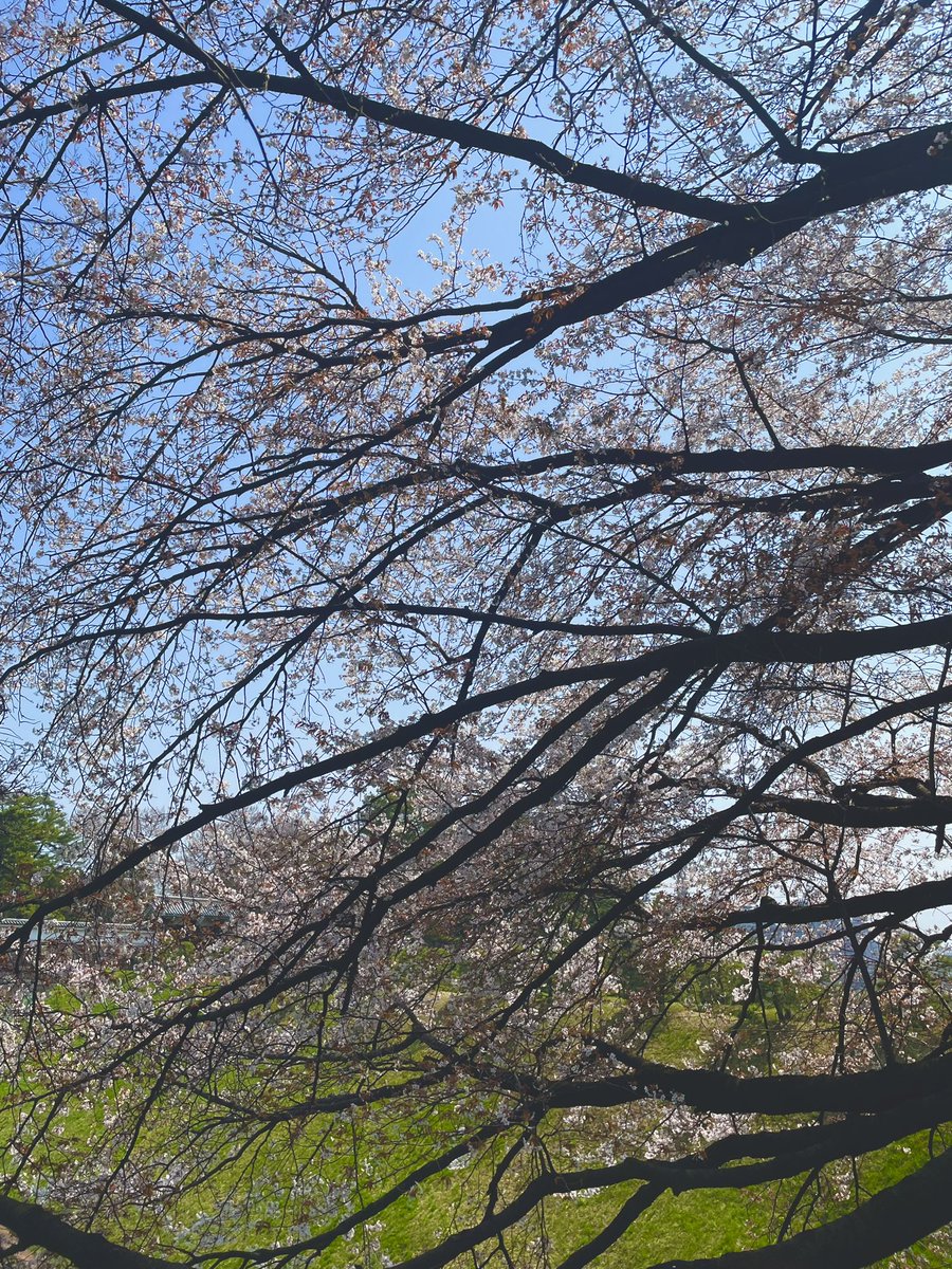 sriko1o1's tweet photo. 4/1 無事、新卒入社式が執り行われました

グループ代表の伊藤さんからは「失敗や内省を繰り返し、突き抜けろ！」
senior代表の泉さんからは「課題を見つけるために、違和感があることを行動し続けよ！」というお話がありました

私自身も今日で社会人10年目🌸気持ちを新たに走り続けます👶🏻 https://t.co/OryKyYkX25