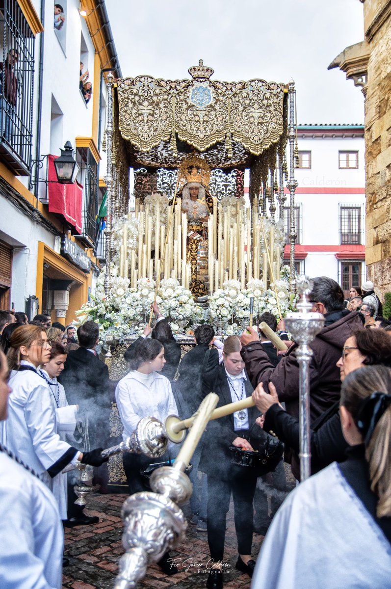 Galeria del traslado de la Hdad del Amor el pasado Domingo de Resurrección. @HermandadAmor @grupojovenamor