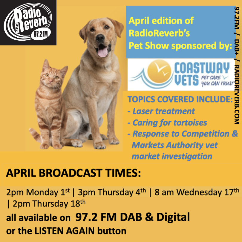 👋 Monday 2pm = The @radioreverb Pet Show 🐰 With host, @TheSussexSquare, & sponsored by @coastwayvets 🙏 👏 On 👇 🔘 97.2FM in #Brighton, Hove & surrounding area 🔘 DAB+ 🔘 radioreverb.com