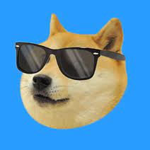 Doggle tweet media