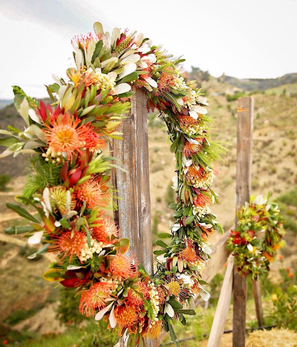 Welcome April 🍃💥🌼💥🌿 “Spring is nature’s way of saying, ‘Let’s party!” ― Robin Williams 🥳 #mondaymotivation #welcomeapril #inspiredbynature #fabulousflorals #proteas #cagrown