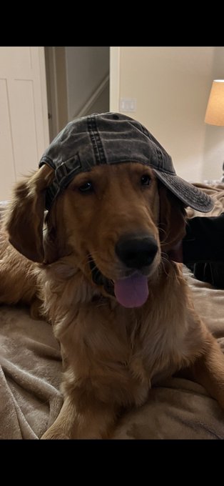 Dusty says have a great week ❤️ https://t.co/uc9t4rHNYr