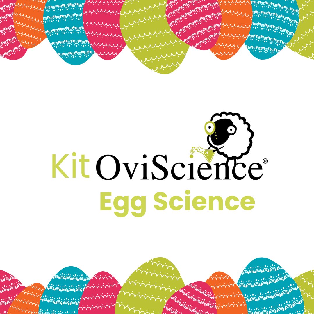 😅 It could be a lie but it's not! ‼️New kit @ the online store 🥚 Learn all about the science of eggs! 💡 make eggs jump! ⚖️ see if the eggs are the same? 🌀 Spin eggs! See how you can order your KIT on the link in the bio! ⤴️ #science #experimentsforkids #oviscience