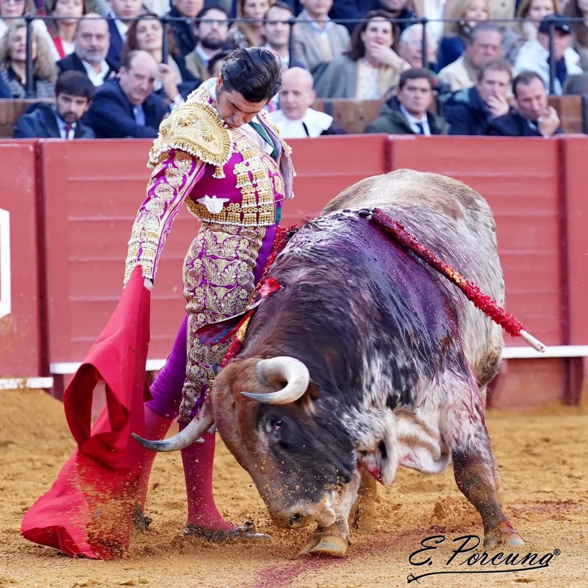 El Maletilla 🇪🇸 tweet media