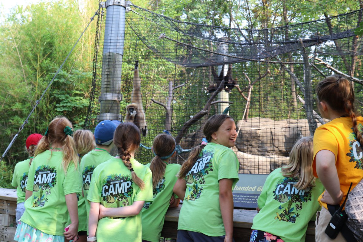 Summer Camp registration is in full swing! Head on over to our website ➡️ bit.ly/2K0xwlJ to register your young one for a week of fun and “gibbon” something to talk about! Also, we have added ONE MORE week of camp for July 29-Aug 2 and have increased capacity!