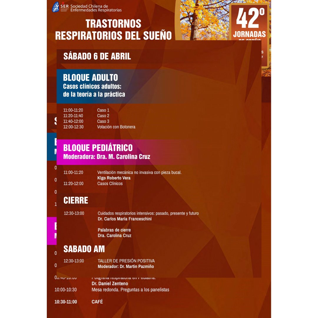 SerChile tweet media