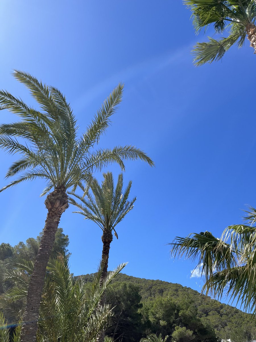 Candace McColgan tweet media