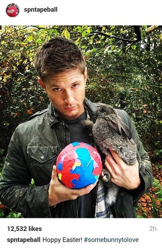 RockMomAckleholic💚♠️🏈🎶📺📚 tweet media