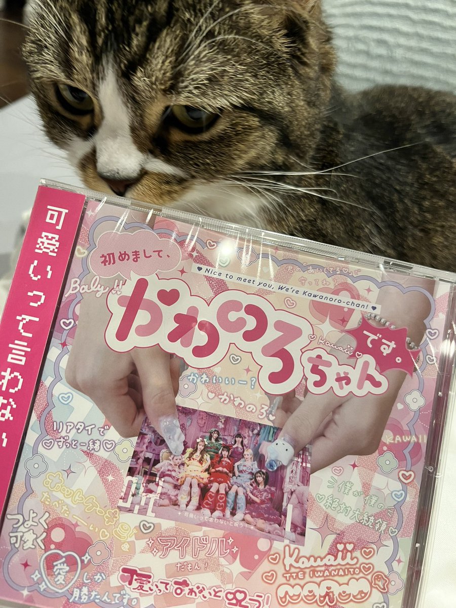 可愛いって言わないと呪う！略して
かわのろ のCDを頂きました🫶
@kawanoro_info 

アー写がめちゃくちゃ可愛い🥺 https://t.co/zIx76hb6DM