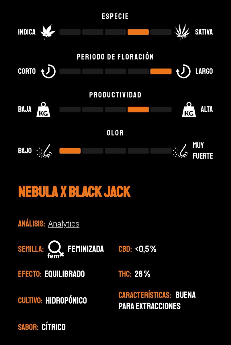 KannabiaSeeds's tweet photo. COLOMBIAN JACK by #KannabiaSeeds 🌱 @IntKannabia @Kannabia_Samen @Kannabia_US
📷 Credits: @Marathon_niP
¡Gracias, amigo! 💯😍🧡💚

ℹ️ #ColombianJack #seeds ➡️
https://t.co/57N9AIDwdC 

Fem ♀️
#Nebula x #BlackJack 
40% #descuento 
🏆🥈1° Premio "Best Sativa" Expogrow Irún 2018 🇪🇦 https://t.co/3gHcAcmMud